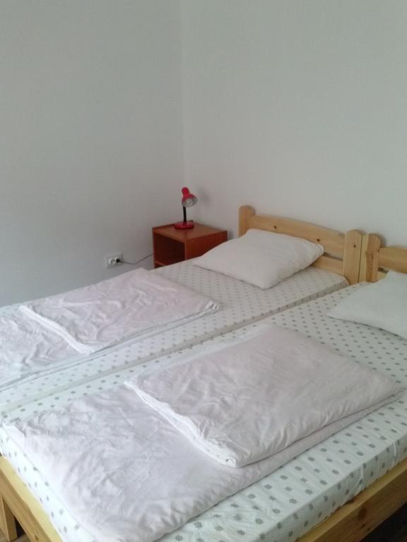 Guesthouse Daniel オラデア エクステリア 写真